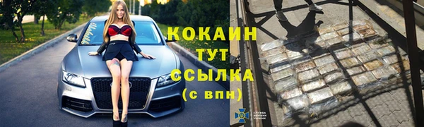 ПСИЛОЦИБИНОВЫЕ ГРИБЫ Вязники