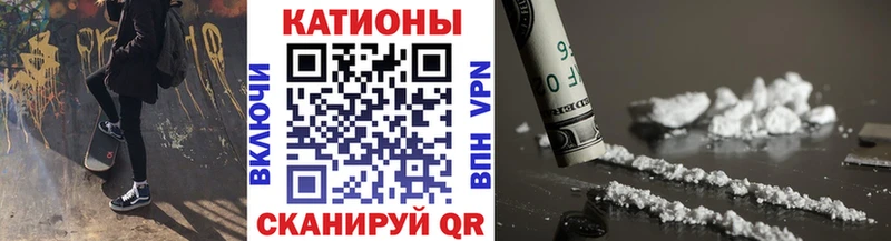 где найти   Данилов  МЕФ мяу мяу 